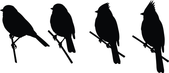Four distinct bird silhouettes perched on thin branches captured in a classic black silhouette style isolated on transparent background