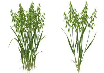 Obraz premium Lush green grass clusters swaying gently in a sunny meadow with a clear blue sky