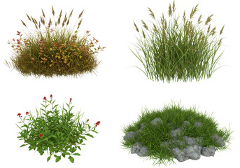 Collection of four different plants and grass isolated on transparent background
