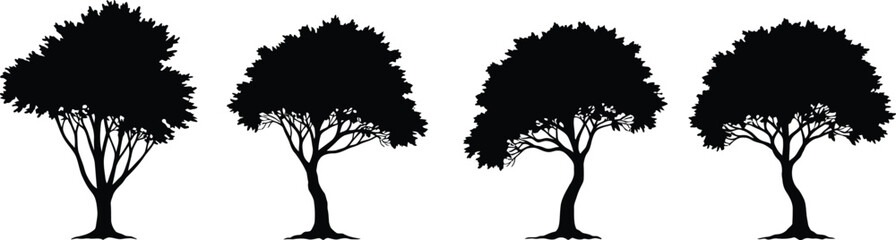 Obraz premium Four distinct deciduous trees in a silhouette style isolated on transparent background