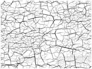 White Cracked Texture with Fine Black Fracture Lines（白地に黒い細かいひび割れ模様の背景）