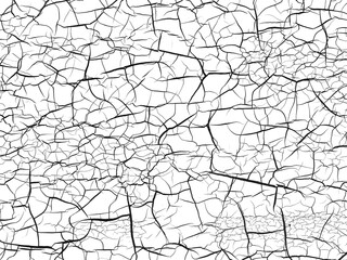 White Cracked Texture with Fine Black Fracture...