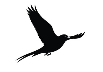 Elegant black bird silhouette flying gracefully