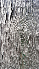 Background for decoration and design. Embossed wooden board painted in silver color. Natural...