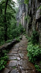 Obraz premium Stone path through lush, rain-soaked gorge