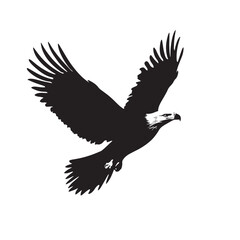 Obraz premium A bold black eagle spreads its impressive wings and prepares to land isolated