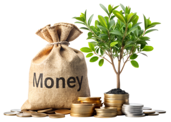 Money bag with growing tree and coins isolated on transparent background, representing investment, finance, and business growth for future success