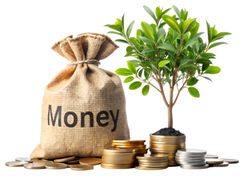 Money bag with growing tree and coins isolated on transparent background, representing investment, finance, and business growth for future success - Powered by Adobe