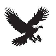 Obraz premium Eagle (22)_traced