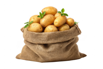 Burlap sack overflowing with fresh potatoes isolated on transparent background