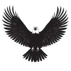 Fototapeta premium Eagle (15)_traced