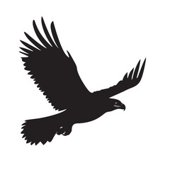 Obraz premium Majestic bald eagle soars powerfully with wings spread wide on transparent background