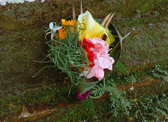Canang Sari is a daily Balinese Hindu offering, a small woven basket or tray made of palm leaves...