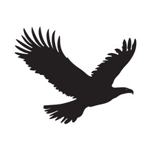 Two eagles engage in a mid air clash with outspread wings on transparent background