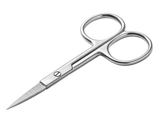 Obraz premium Precision Small Scissors