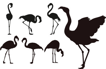 flamingo silhouettes vector