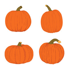 Four orange pumpkins illustration for Halloween, Autumn and Thanksgiving