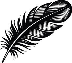 Detailed feather illustration showcases intricate line work and a classic, elegant design, perfect for symbolic representations or decorative elements in various creative projects.