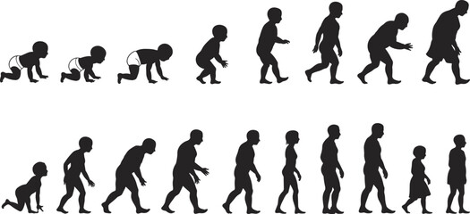 Human life stages evolution, baby to adult transition, child growth development, aging process, male and female transformation, silhouette flat vector illustratio