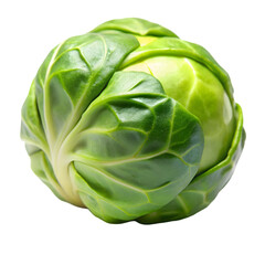 Obraz premium Fresh brussels sprout PNG isolated on white background