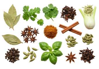 A vibrant assortment of spices and herbs arranged artistically on a black background
