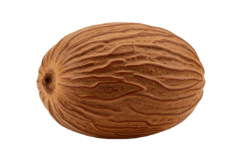 Close-up of a textured nut shell resting on a plain background, showcasing its natural patterns