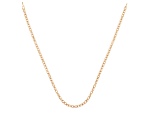 - Dangling Gold Necklace with Delicate Ornate Links and Clasp Detail, Hanging Straight Down, Isolated PNG