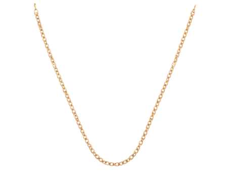 - Dangling Gold Necklace with Delicate Ornate Links and Clasp Detail, Hanging Straight Down, Isolated PNG - Powered by Adobe