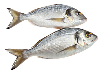 Obraz premium Fresh fish duo isolated on white background perfect for healthy seafood recipes and cuisine ideas