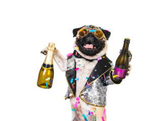  Dancing Party Pug in Sequin Tuxedo with Confetti and Champagne Bottle, Holiday Bash Vibes, Transparent PNG