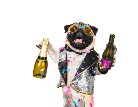  Dancing Party Pug in Sequin Tuxedo with Confetti and Champagne Bottle, Holiday Bash Vibes, Transparent PNG