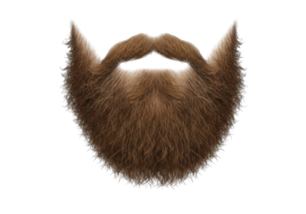 Realistic brown beard illustration with detailed texture against a transparent background