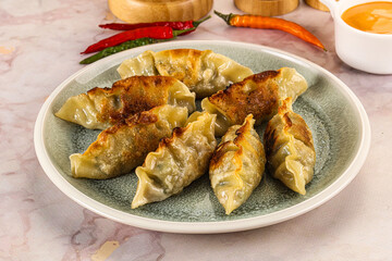 Japanese fried Gyoza stuffed dumplings