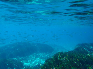 Dark blue ocean surface seen from underwater. Abstract waves underwater and rays of sunlight shining through, Sun light rays undersea deep, Underwater background with sea bottom, Mediterranean sea.