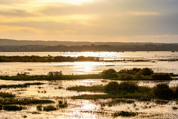 Sunshine in backlight over a lake with sparkling water surface