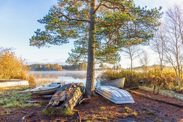 Rowing boats on the beach by a lake in a forest in autumn
