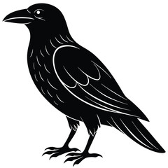 Fototapeta premium Black raven silhouette with white feather details on white background crow bird