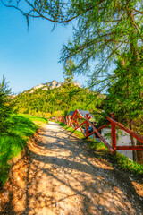 Peak Tri Koruny or Trzy Korony during day with green meadow and trees in spring. Pieniny National park in Slovakia and Poland © Zedspider