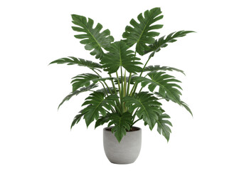 Lush green indoor plant in a modern pot, enhancing a bright living room ambiance