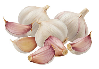 Fresh garlic bulbs and cloves on a transparent background for culinary and health purposes