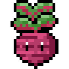 Cartoon Pixel Beetroot Character