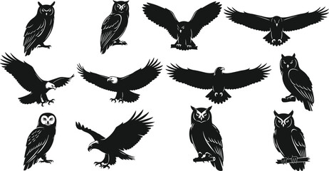 Obraz premium Owl and eagle silhouettes in flight and perched poses, wildlife birds, raptors, nature animal design, vector illustration, black graphics