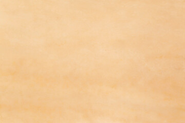 natural background: close up of butternut pumpkin skin texture