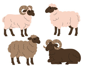 Flat illustration of four sheep in various poses and wool colors, including two horned rams and two fluffy sheep. Simple cartoon style, perfect for childrens books, farming themes, and educational use
