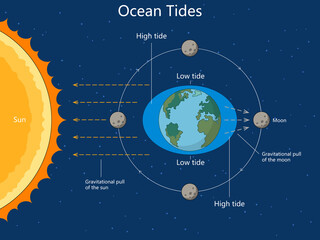 Naklejka premium how gravitational forces from the moon and sun affect Earth's ocean tides, creating high and low tides diagram hand drawn schematic raster. Science educational illustration