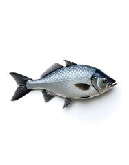 Obraz premium Realistic silver ocean fish