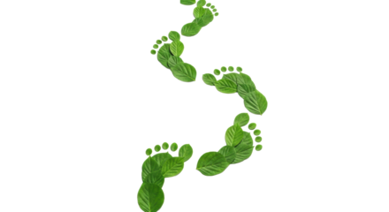 A winding path of intricately constructed human footprints, each meticulously formed from vibrant green leaves, isolated on a transparent plain, studio lit from a top-down view. Concept of natural