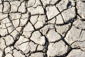 Cracked dry earth showing severe drought conditions in arid landscape