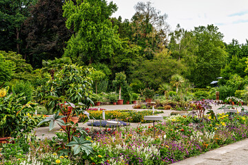 Naklejka premium The Botanical Garden of Augsburg in Germany with garden pathes and topiary boxwood bushes on green meadows