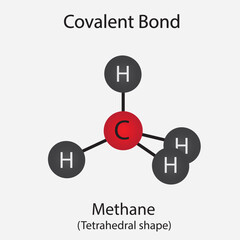 Structure of Covalent bond (methane).